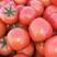 西红柿齐达利，粉西红柿，小西红柿