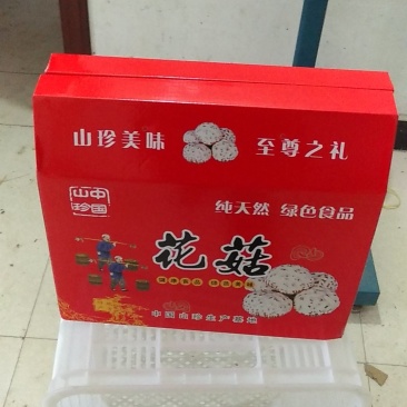 大花菇