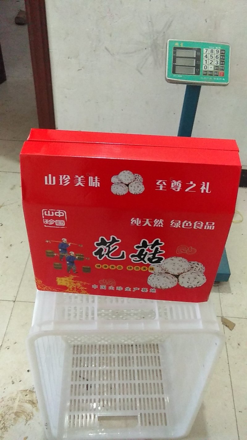 大花菇