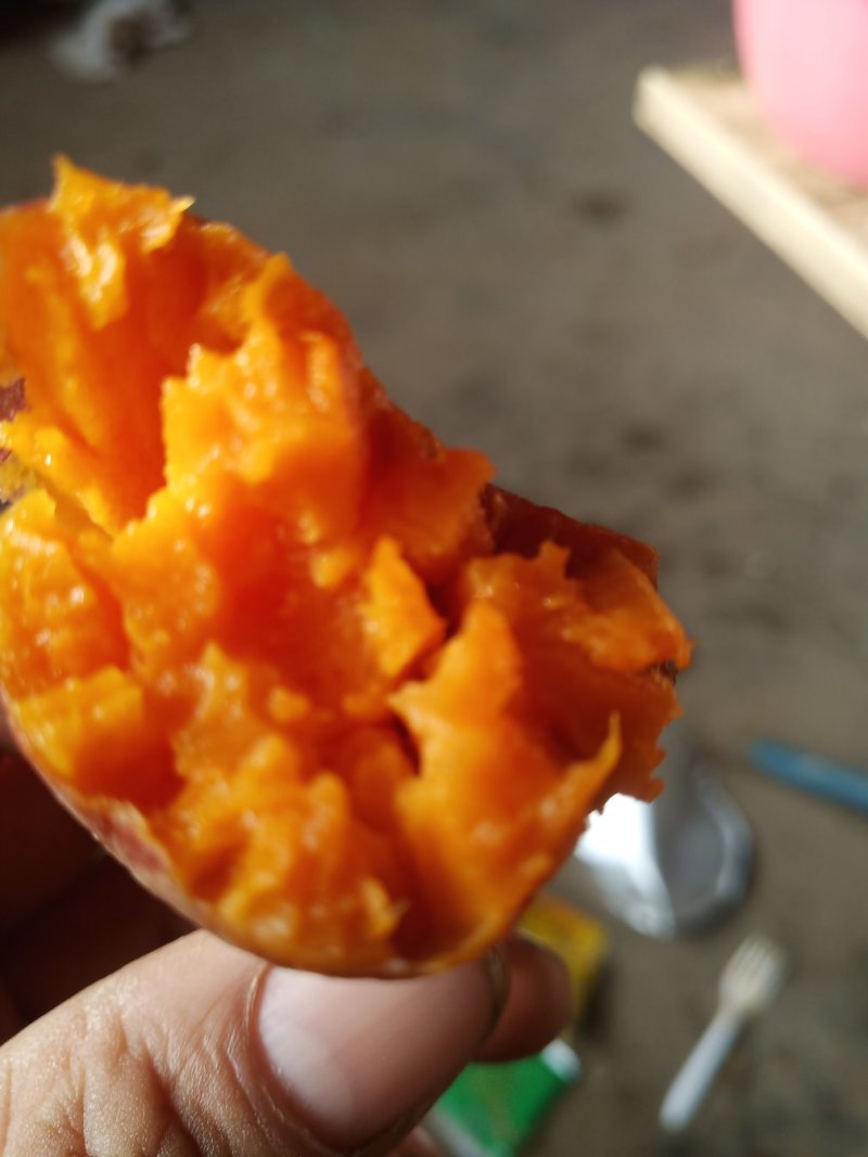 红薯