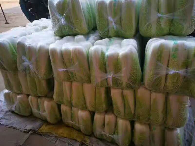 山东肥城北京新三号大白菜大量供应中，冷库储存。净菜毛菜