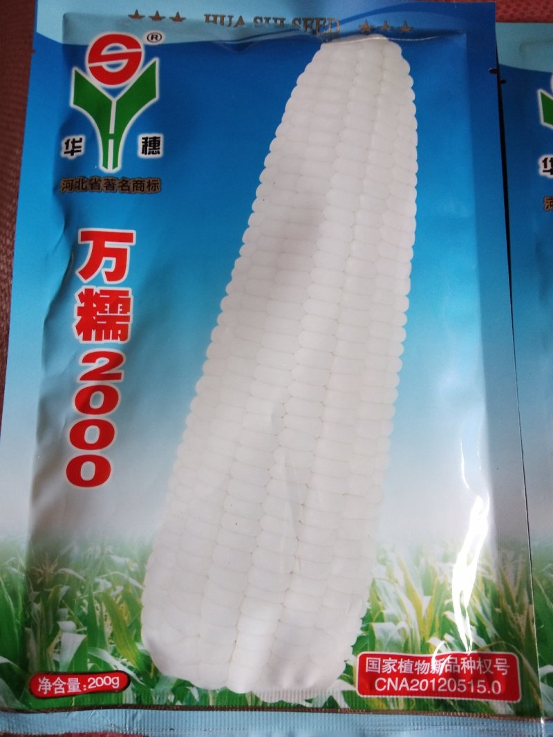 水果玉米等各种种子，质量保证，绝无欺骗，请放心种植