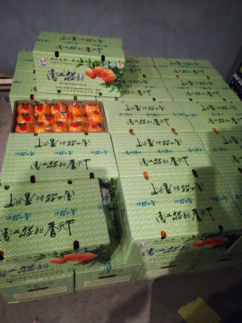 春椪柑(芦柑)产地直销批发，货源充足，看货采果价格美丽，