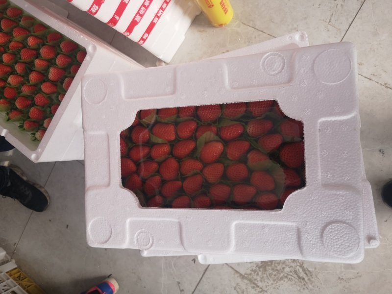 草莓泡沫箱礼品装