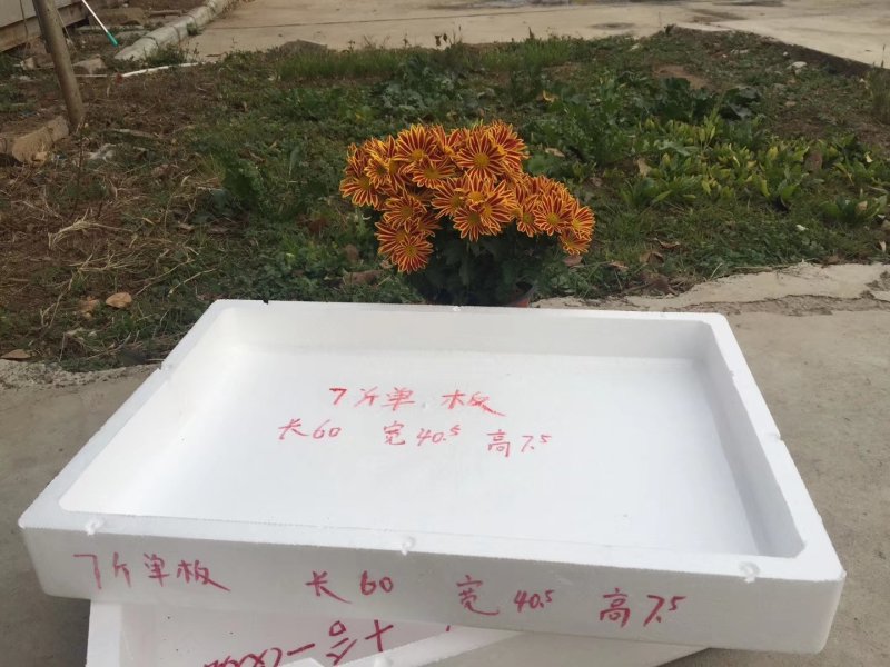 草莓泡沫箱礼品装