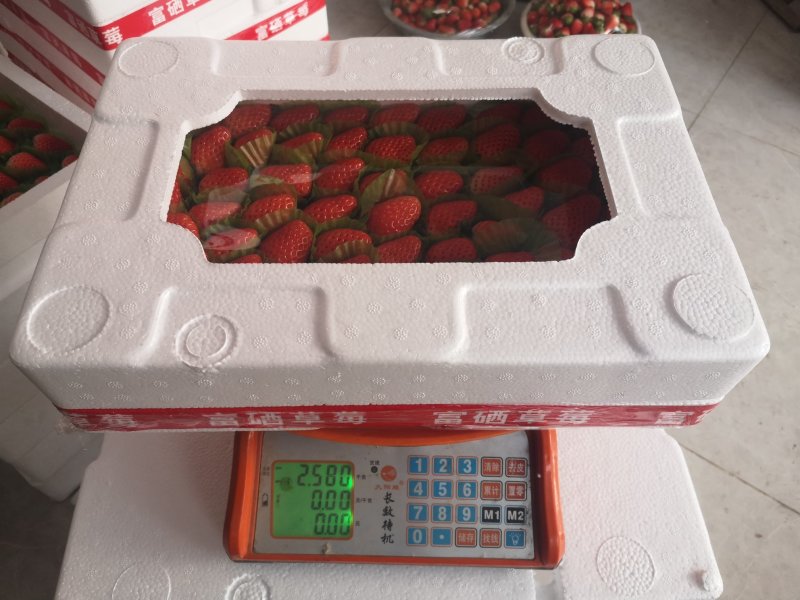 草莓泡沫箱礼品装