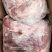 进口精修箱装4号肉大量有货