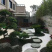 罗汉松造型，顶流大师出品，年产量低，树型飘逸优美
