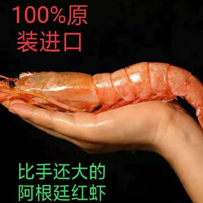 【一件代发】包邮超大净重4斤海捕阿根廷红虾