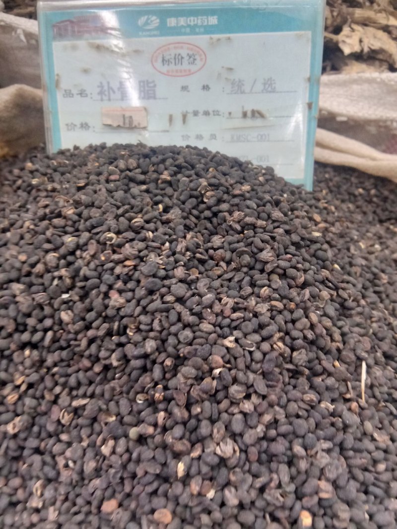 常年批发代购各种补骨脂各种规各
