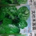 大叶木耳菜种籽高产耐寒耐抽苔木耳菜种500克