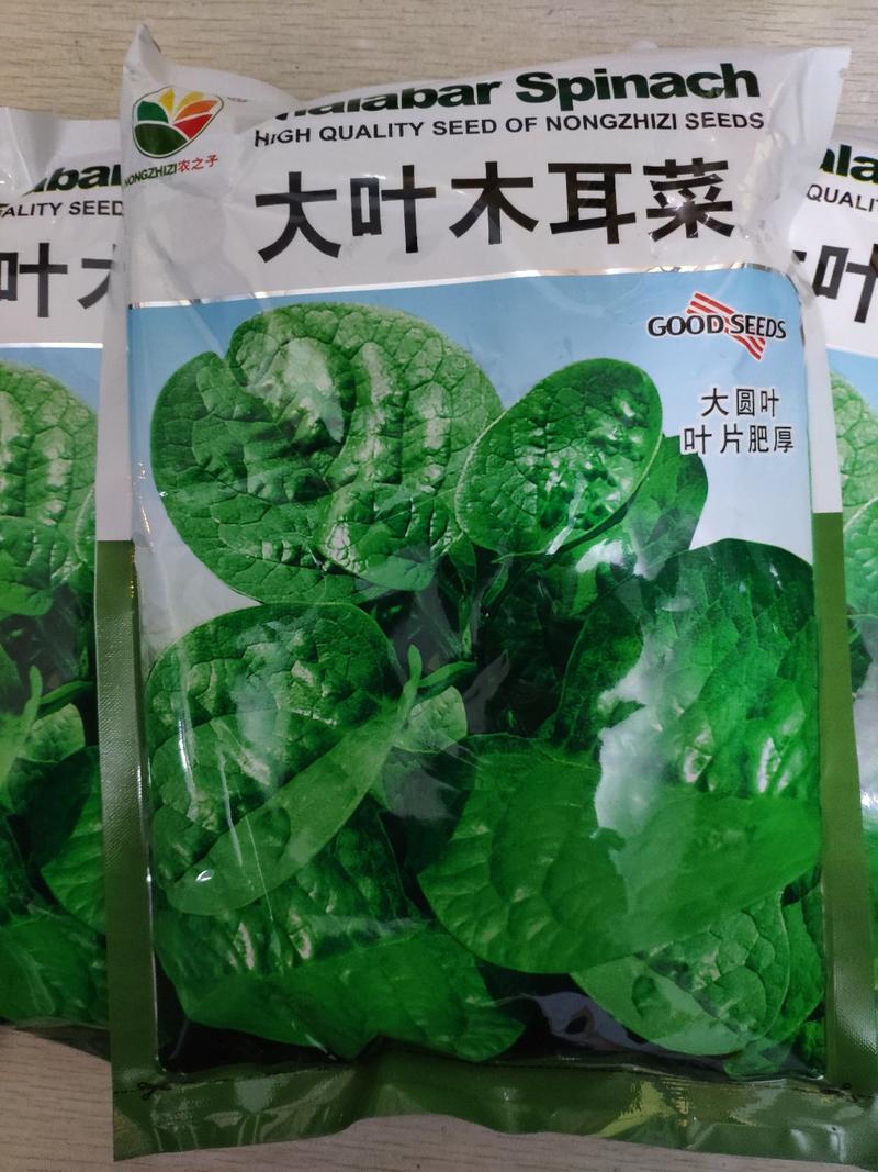 大叶木耳菜种籽高产耐寒耐抽苔木耳菜种500克