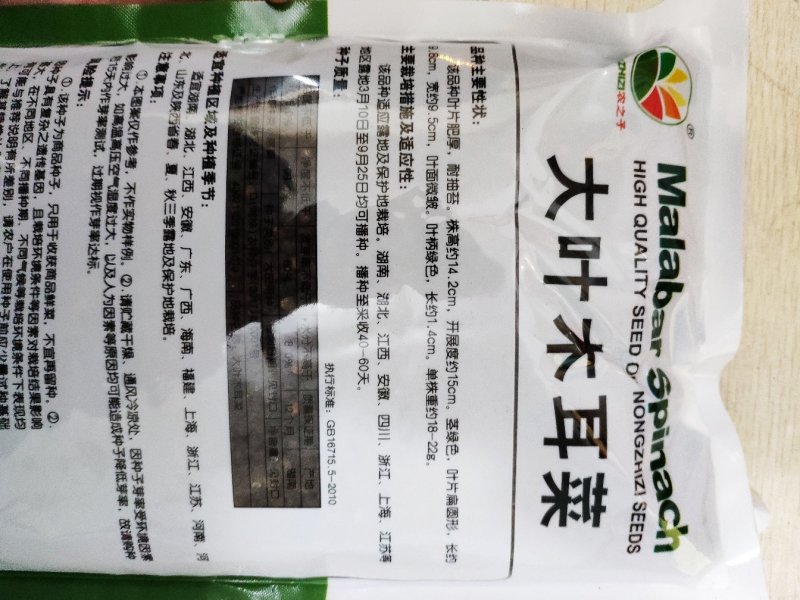 大叶木耳菜种籽高产耐寒耐抽苔木耳菜种500克