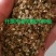 紫穗槐种子.发芽率高价格合理欢迎前来实地订购