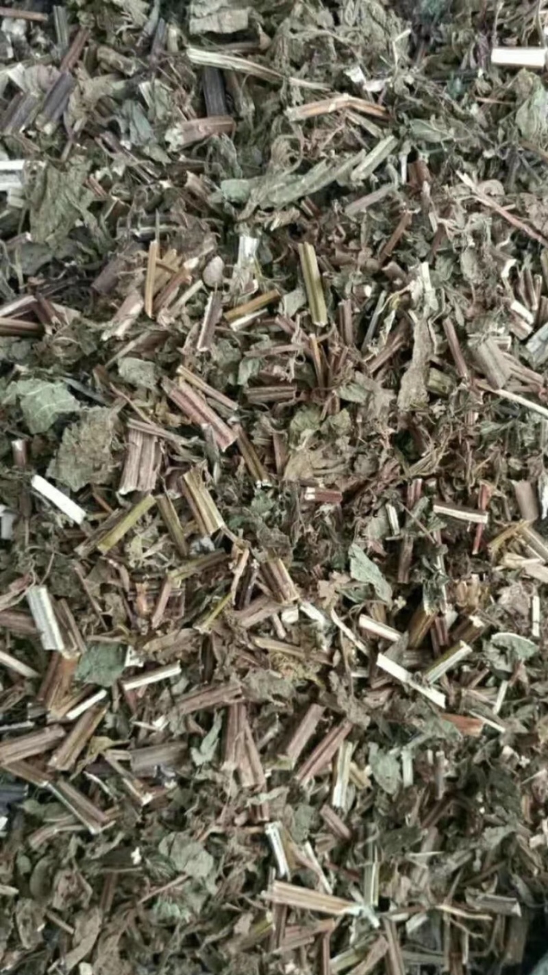 溪黄草【包邮】三斤起发货可批量可零售量大从优