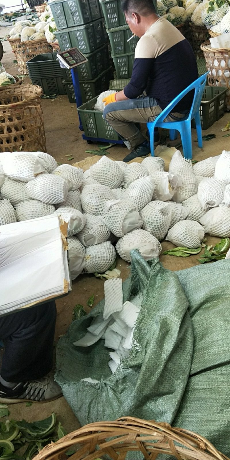 福建精品散花，西兰花大量供应