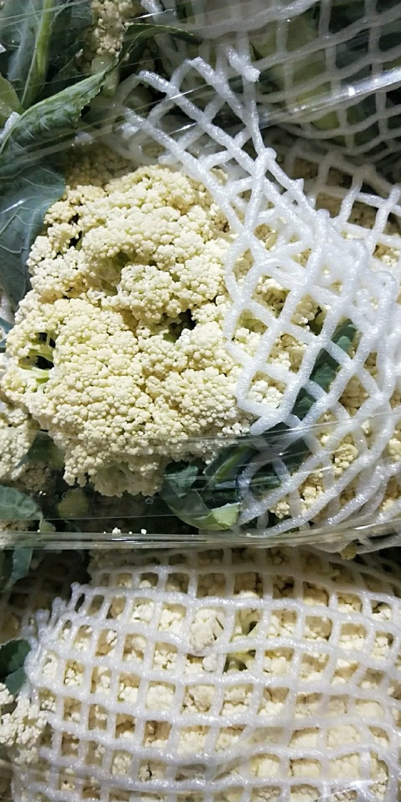 福建精品散花，西兰花大量供应