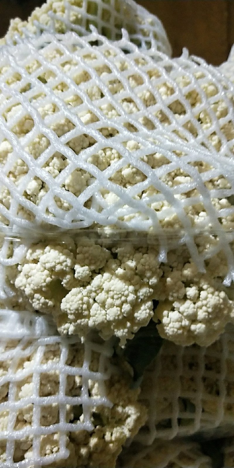 福建精品散花，西兰花大量供应
