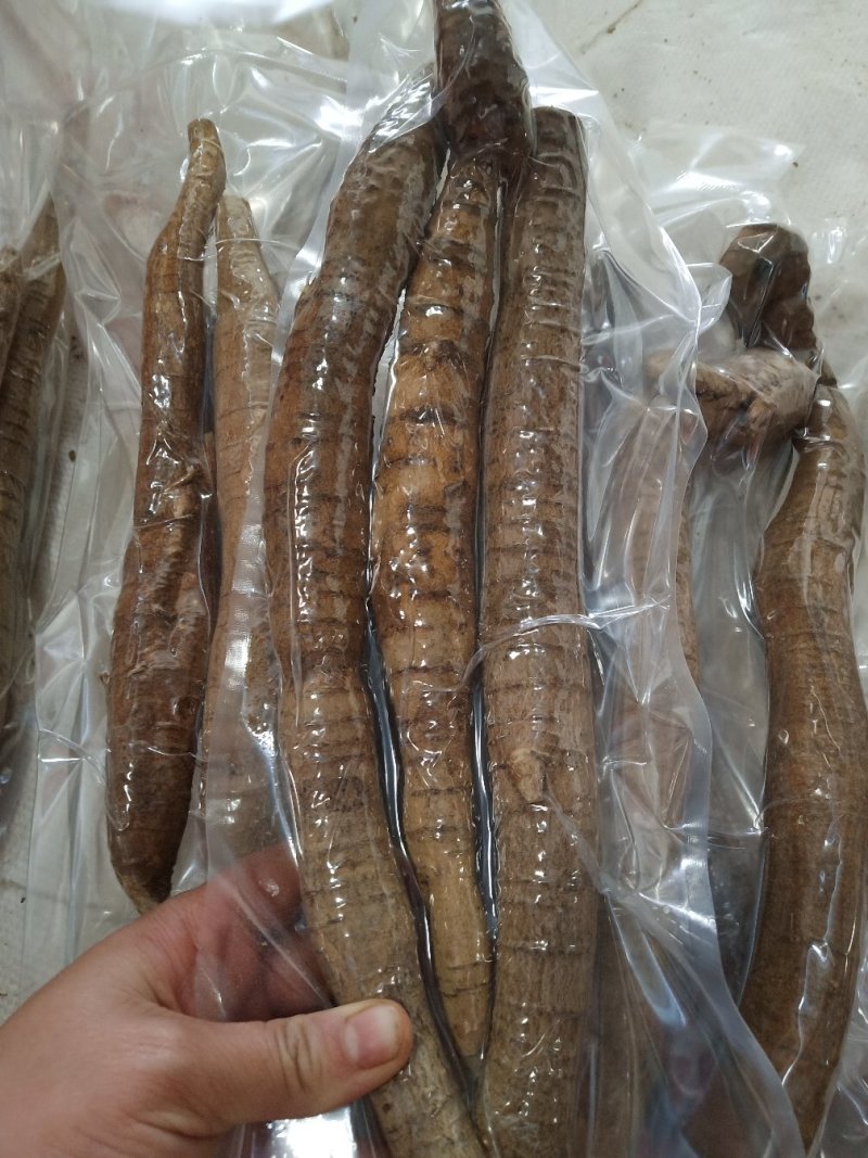 牛大力大牛，大(小)叶高粉质够老身
