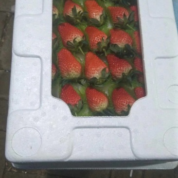 草莓包装盒