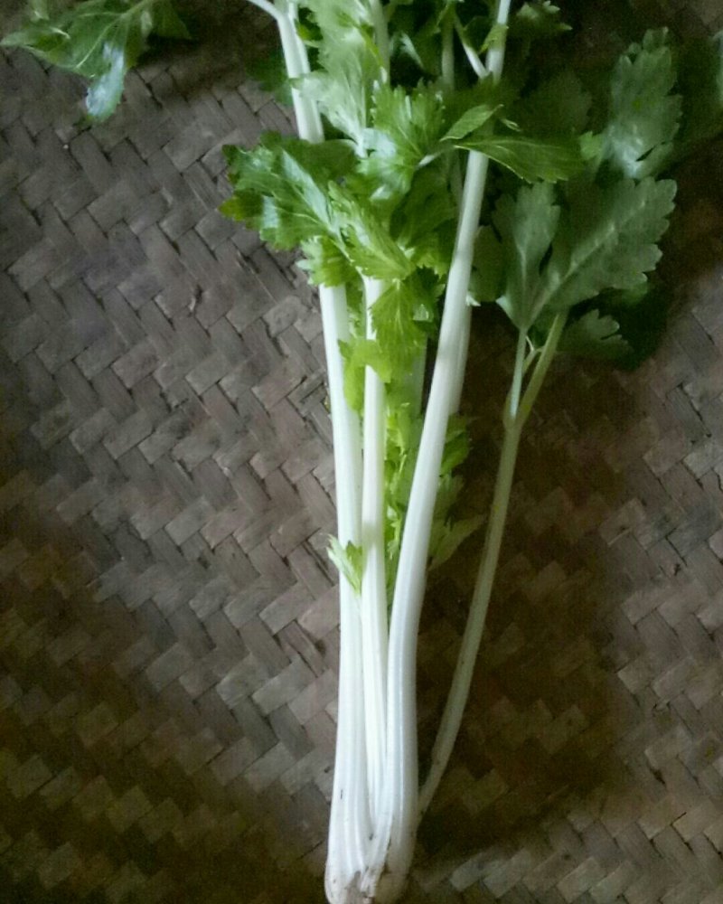 白芹菜