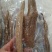 牛大力大牛，大(小)叶高粉质够老身