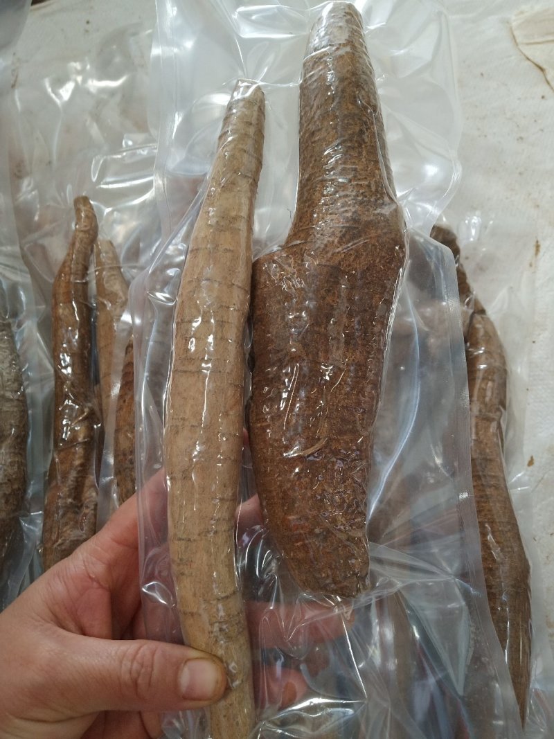 牛大力大牛，大(小)叶高粉质够老身