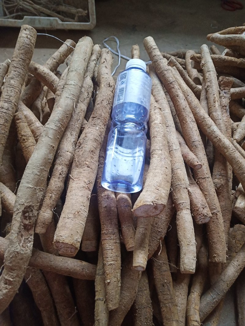 牛大力大牛，大(小)叶高粉质够老身