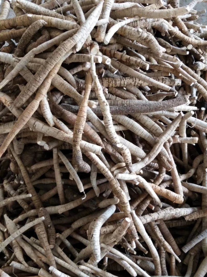 牛大力小小牛小叶味道甘甜质量好