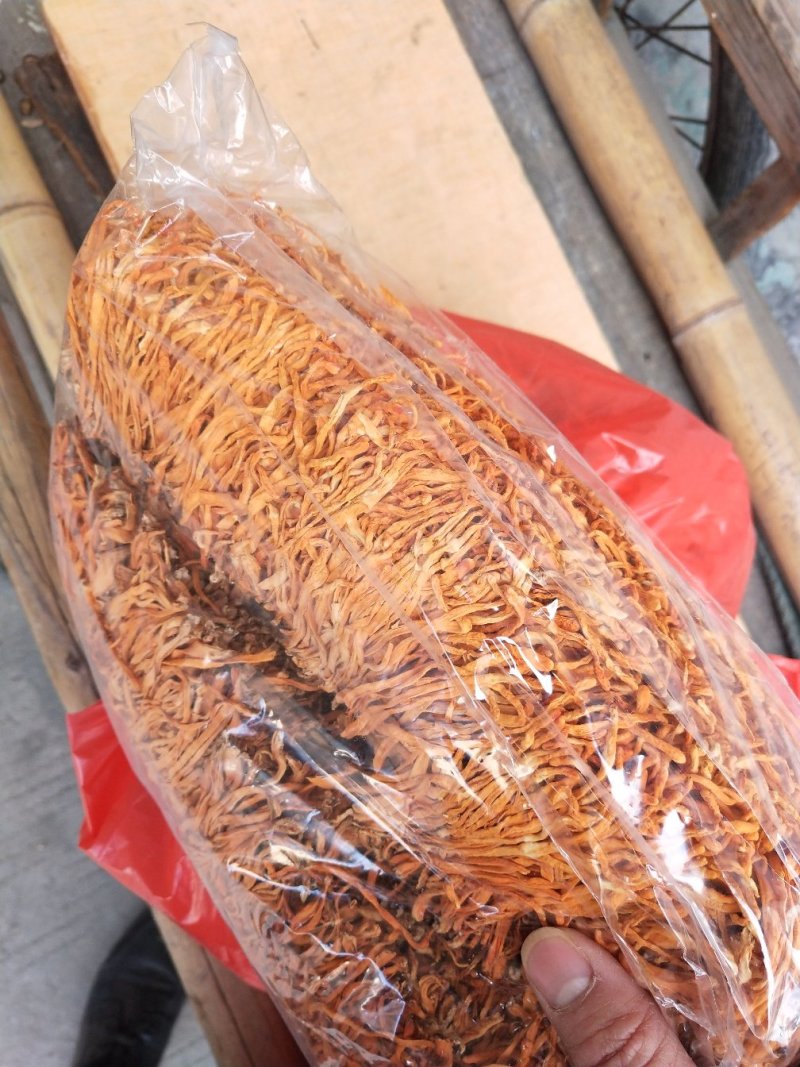 古田虫草花量大走物流运费商议请按购买数量拍否则不发货谢谢