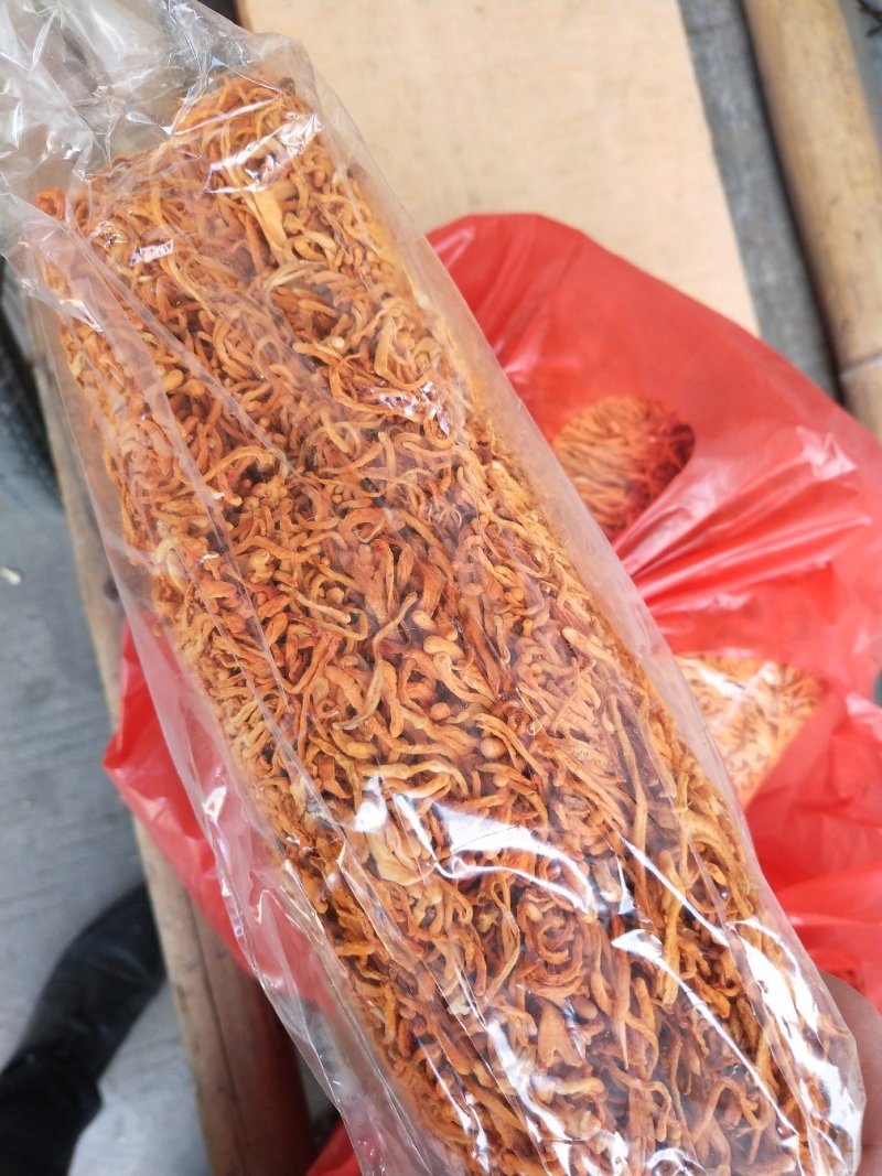 古田虫草花量大走物流运费商议请按购买数量拍否则不发货谢谢
