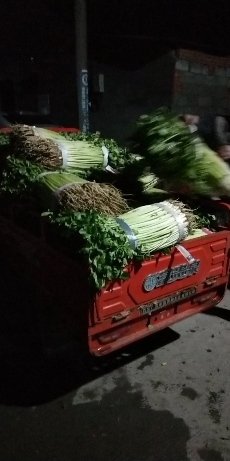 香芹，芹皇