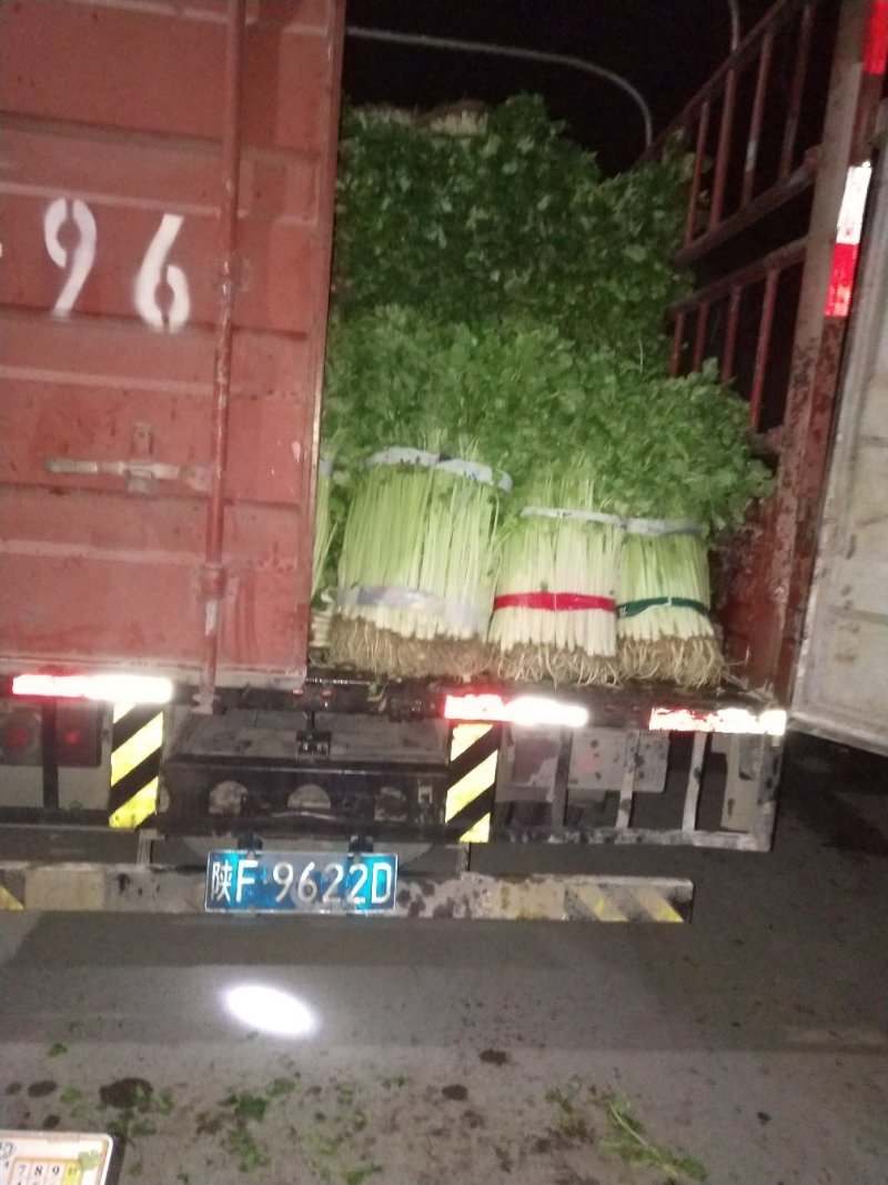 香芹，芹皇