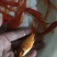 武昌鱼苗三角鲂，团头鲂，边鱼苗，大量现货出售