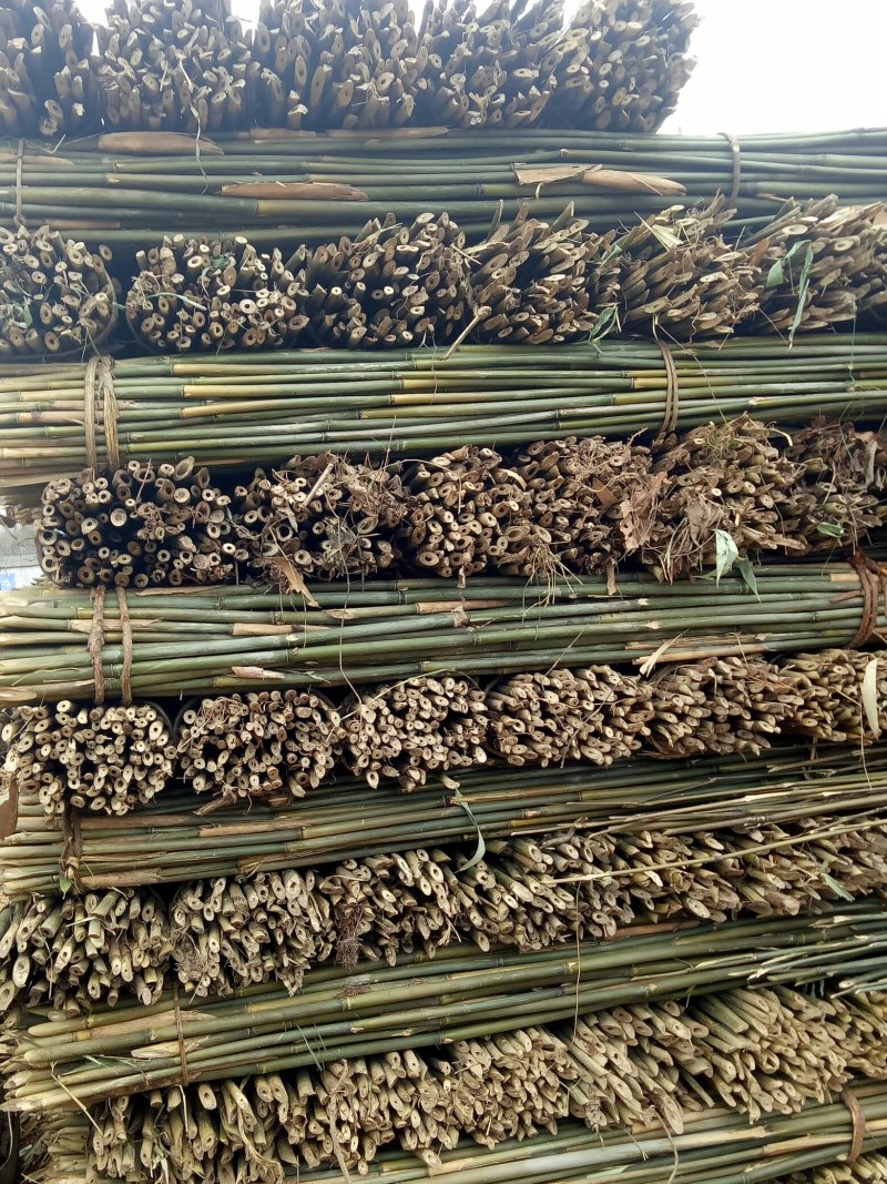 竹子(实心竹)