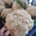 有机花菜