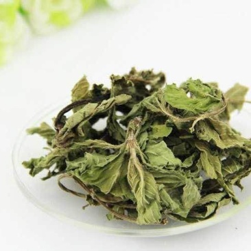 薄荷，常年批发供应各种薄荷叶薄荷杆