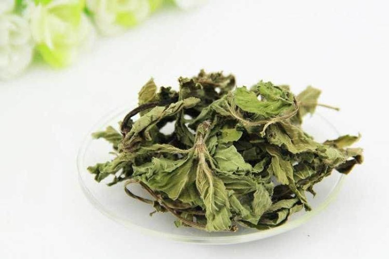 薄荷，常年批发供应各种薄荷叶薄荷杆