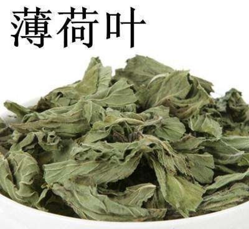 薄荷，常年批发供应各种薄荷叶薄荷杆