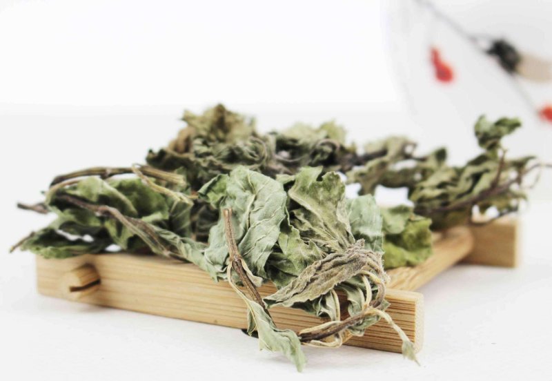 薄荷，常年批发供应各种薄荷叶薄荷杆