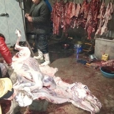 驴肉