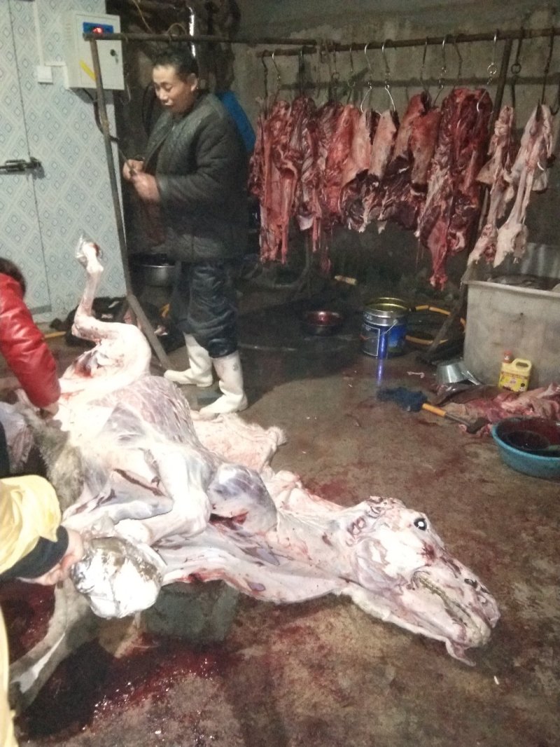 驴肉