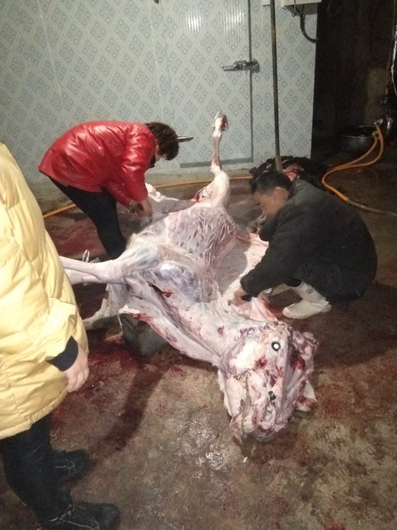 驴肉
