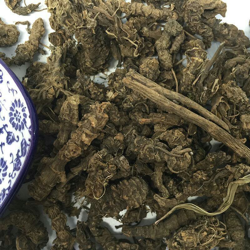 颉草根光缬草根无毛须马蹄香根蜘蛛香