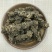 颉草根光缬草根无毛须马蹄香根蜘蛛香