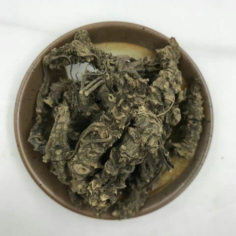颉草根光缬草根无毛须马蹄香根蜘蛛香