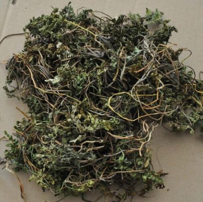 小春花，一朵云，常年批发供应各种规格冷背中药材阴地蕨