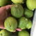无籽香水柠檬