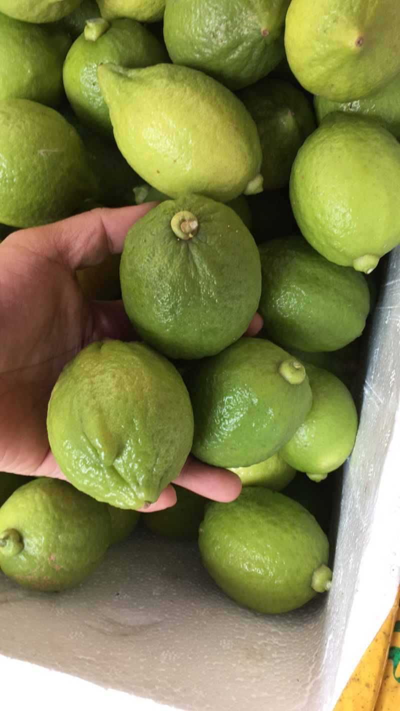 无籽香水柠檬