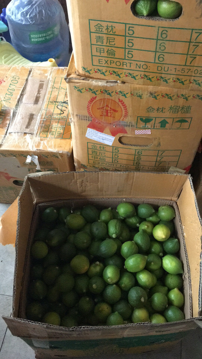 无籽香水柠檬